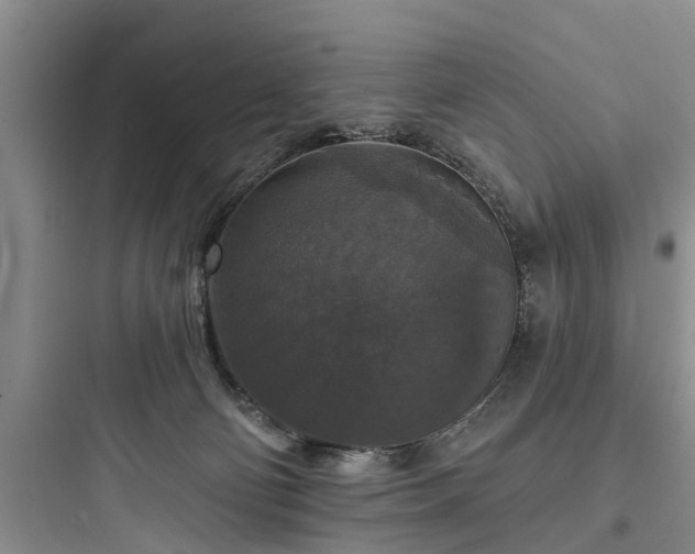 X0000097910130200803211513