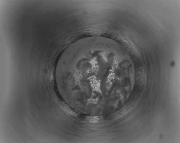 X0000097910131200803211513