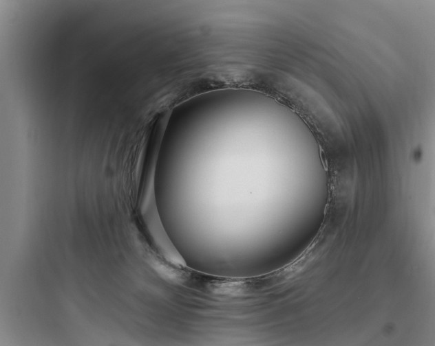 X0000097910132200803211513