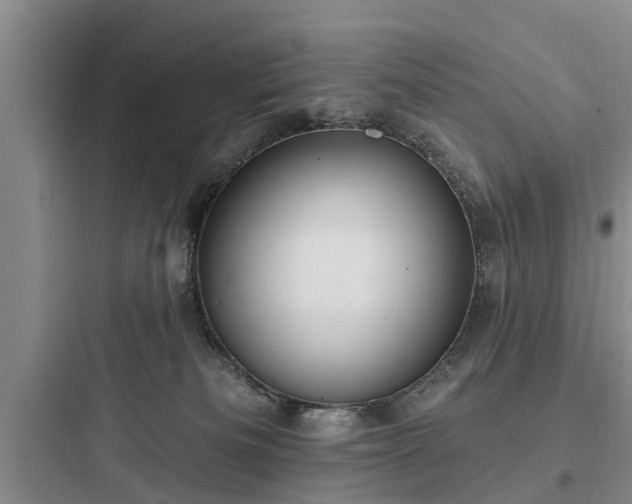 X0000097910133200803211513