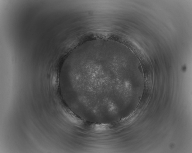 X0000097910134200803211513