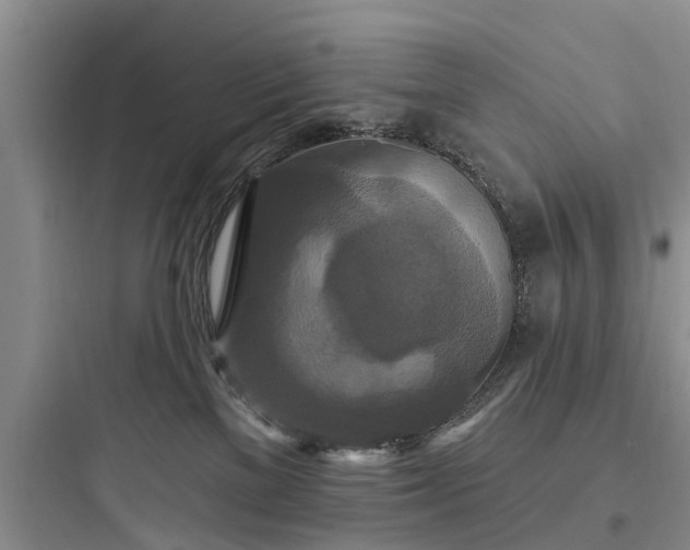 X0000097910137200803211513