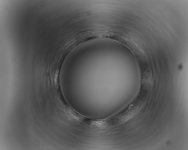 X0000097910139200803211513