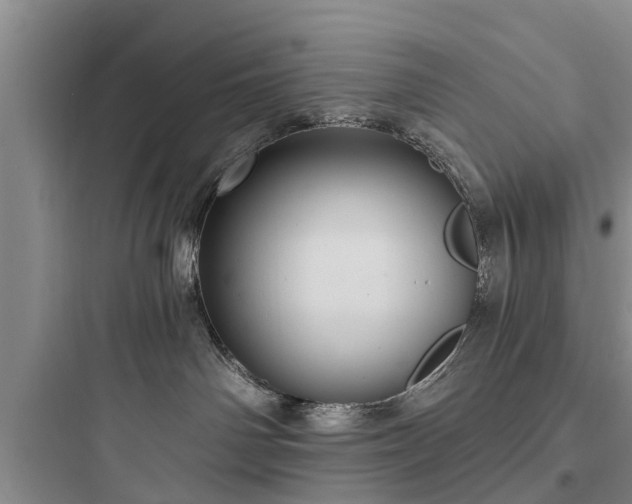 X0000097910142200803211513