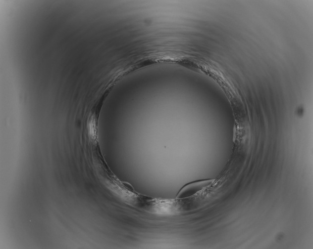 X0000097910143200803211513