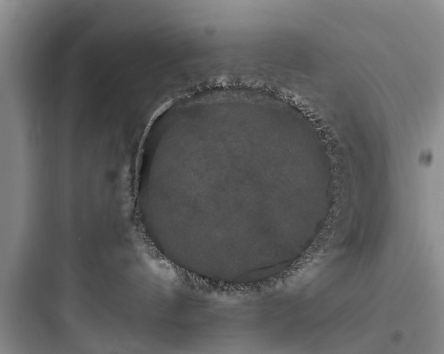 X0000097910144200803211513