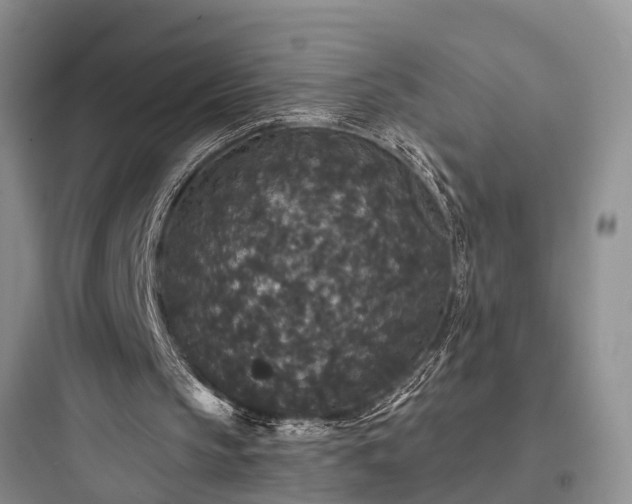 X0000097910145200803211512