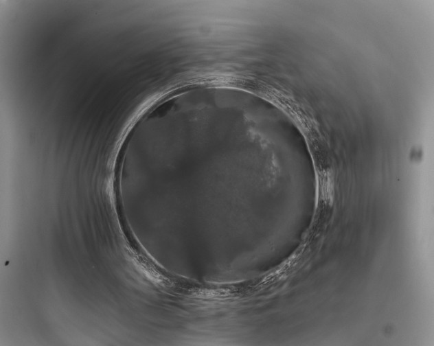 X0000097910147200803211512