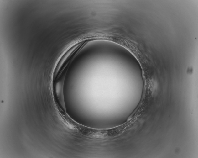 X0000097910148200803211512