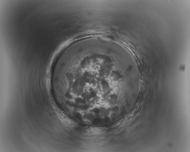 X0000097910149200803211512