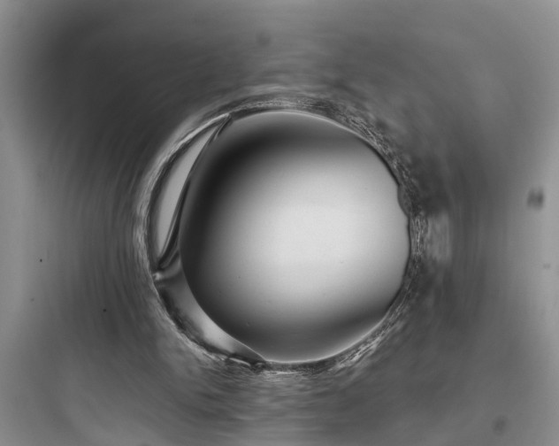 X0000097910150200803211512