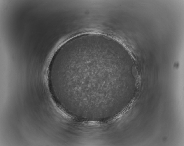 X0000097910151200803211512