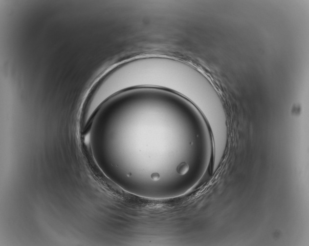 X0000097910152200803211512