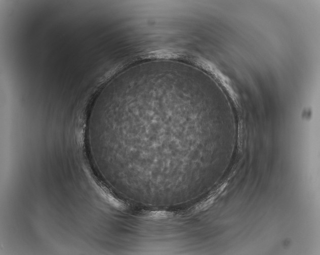 X0000097910153200803211512