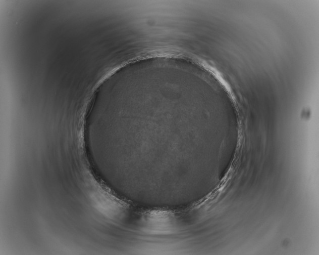 X0000097910154200803211512