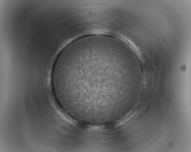 X0000097910155200803211512