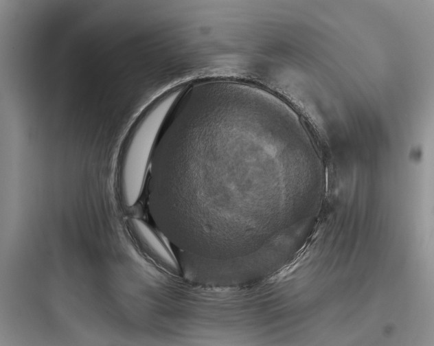 X0000097910156200803211512