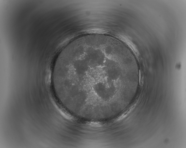 X0000097910157200803211512