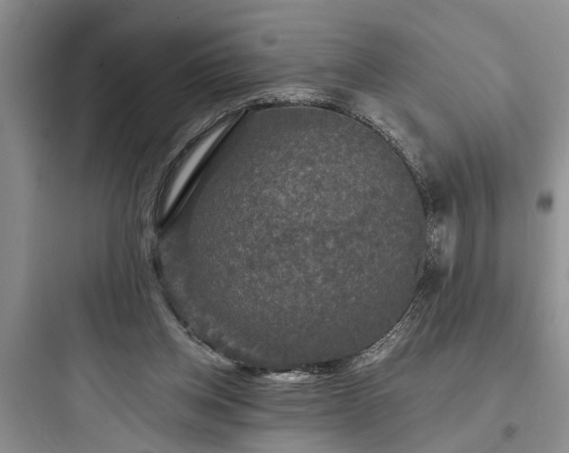 X0000097910158200803211512