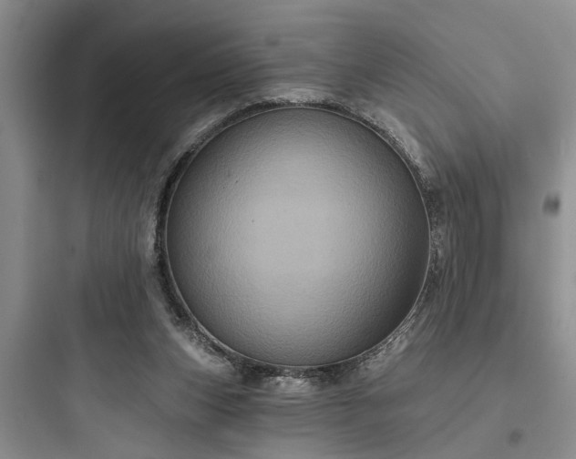 X0000097910159200803211512