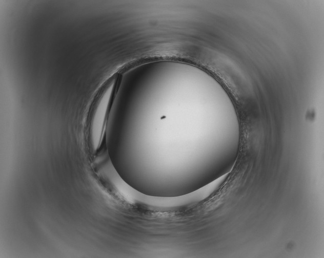 X0000097910160200803211512