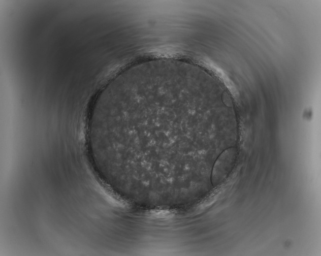 X0000097910161200803211512