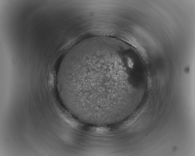 X0000097910165200803211512