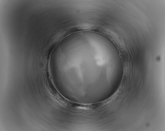 X0000097910167200803211512