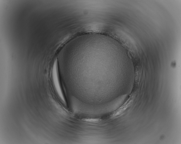 X0000097910168200803211512