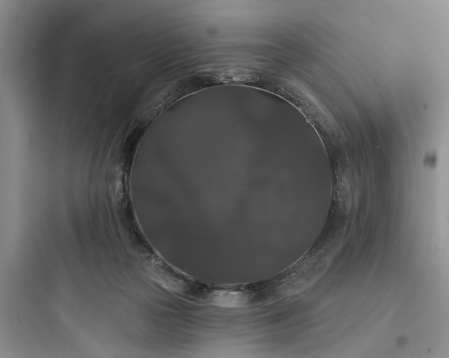 X0000097910169200803211512