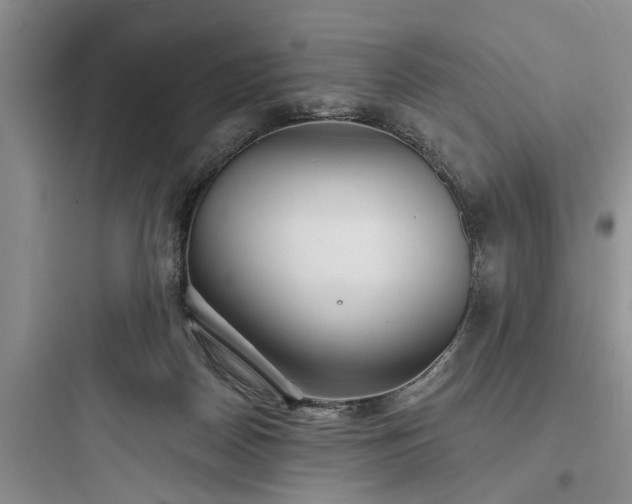 X0000097910170200803211512