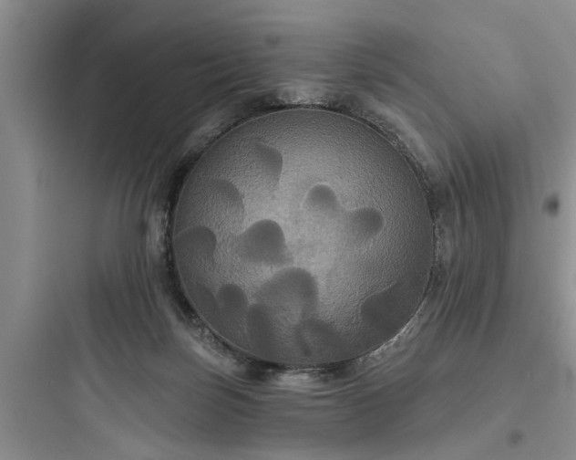 X0000097910171200803211512