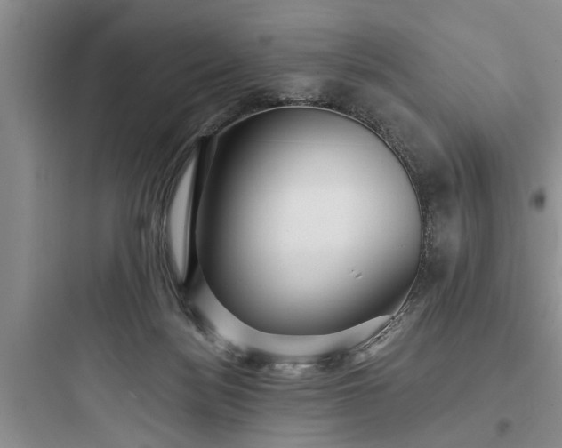 X0000097910172200803211512