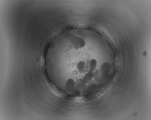 X0000097910173200803211513