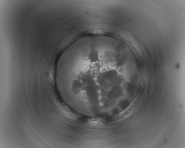 X0000097910175200803211513