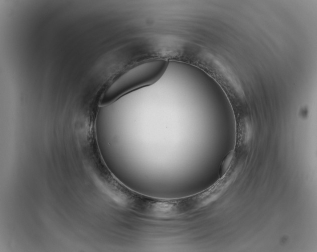 X0000097910176200803211513