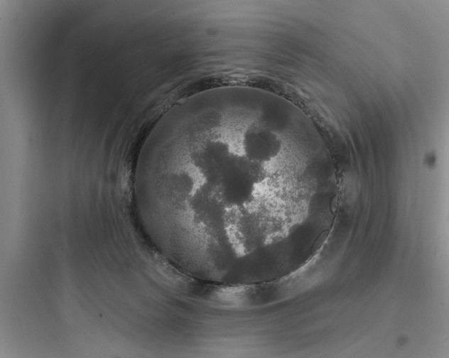 X0000097910178200803211513