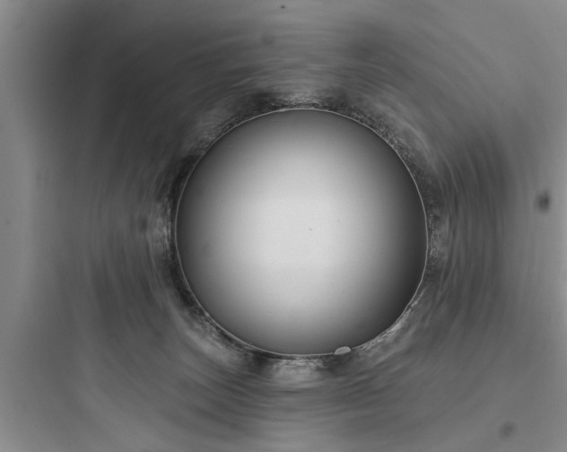 X0000097910179200803211513