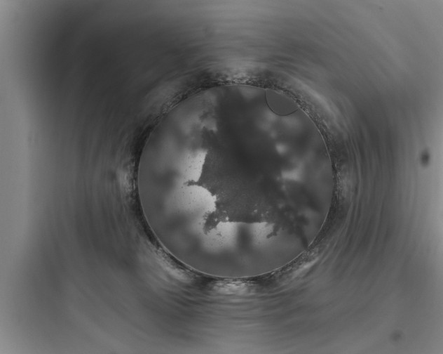 X0000097910181200803211513