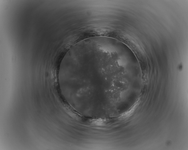 X0000097910182200803211513