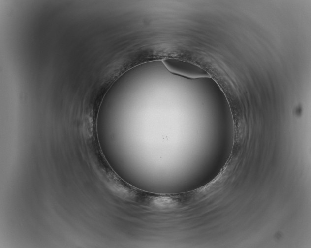 X0000097910183200803211513