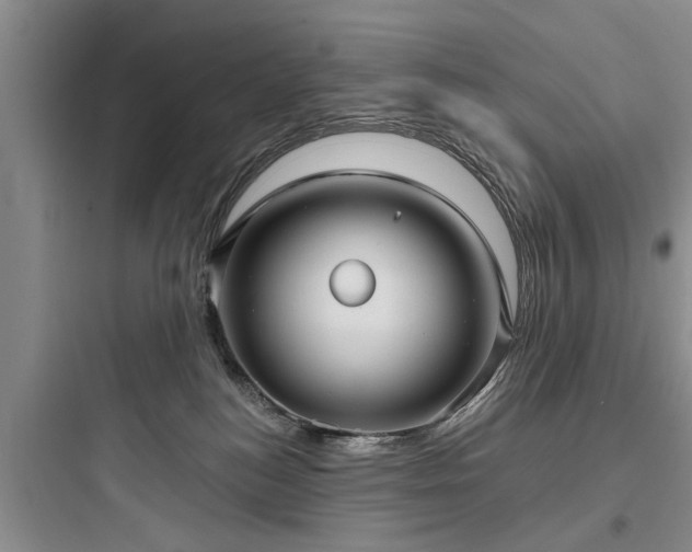 X0000097910184200803211513