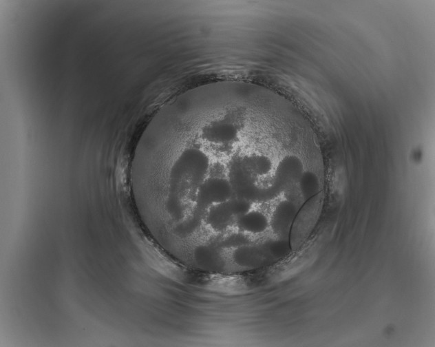 X0000097910185200803211513