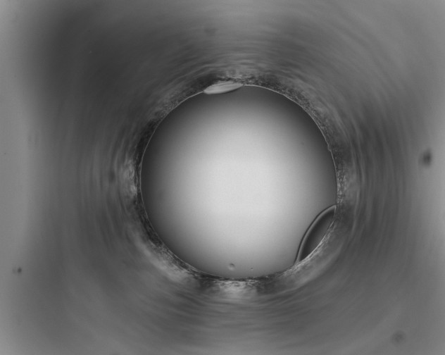 X0000097910187200803211513