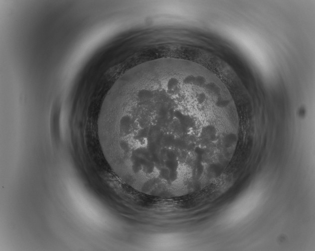 X0000097910189200803211513