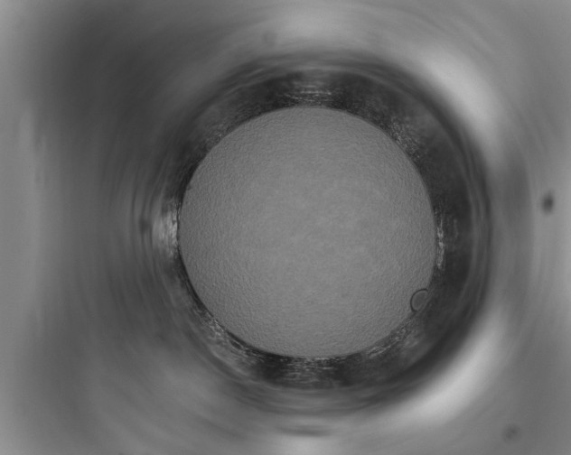 X0000097910190200803211513