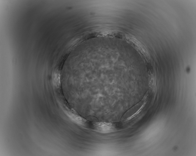 X0000097910191200803211513