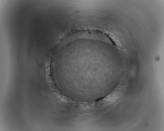 X0000097910192200803211513