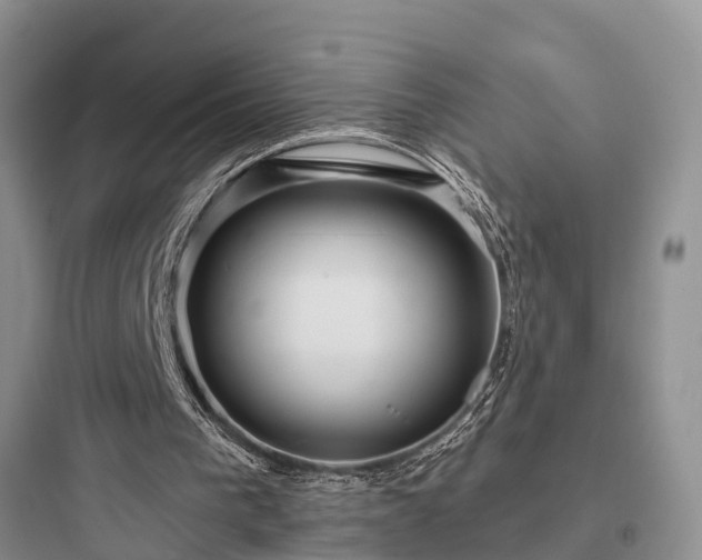 X0000097910193200803211512