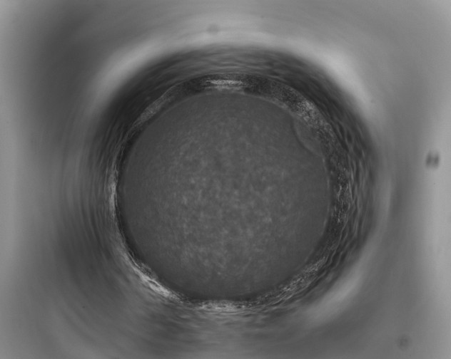 X0000097910194200803211512